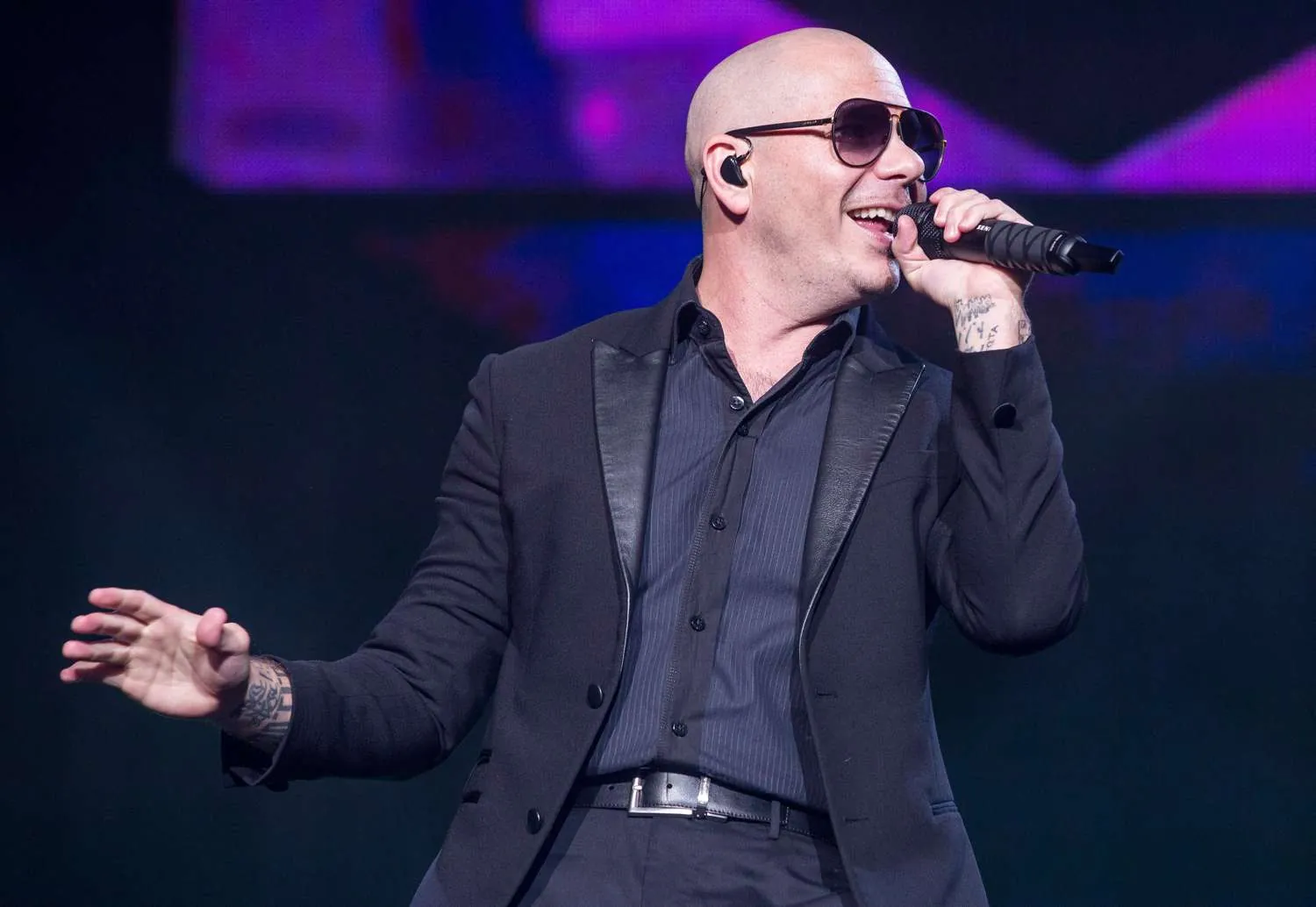 pitbull rapper